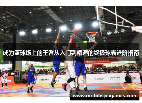 成为篮球场上的王者从入门到精通的终极球霸进阶指南 成为篮球场上的王者从入门到精通的终极球霸进阶指南