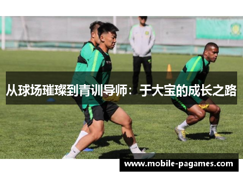 从球场璀璨到青训导师:于大宝的成长之路 从球场璀璨到青训导师:于大宝的成长之路