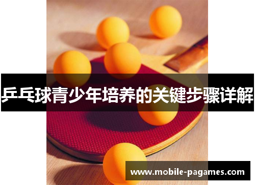 乒乓球青少年培养的关键步骤详解 乒乓球青少年培养的关键步骤详解