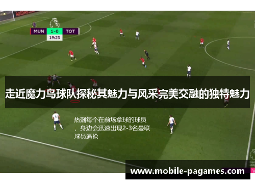 走近魔力鸟球队探秘其魅力与风采完美交融的独特魅力