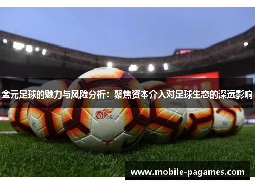 金元足球的魅力与风险分析：聚焦资本介入对足球生态的深远影响