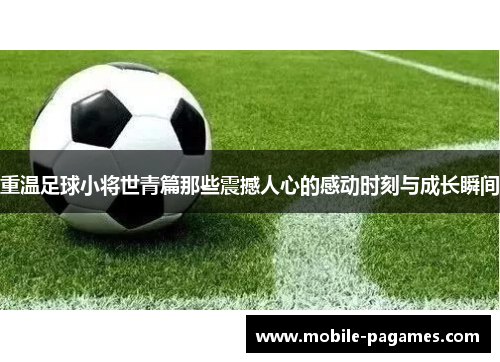 重温足球小将世青篇那些震撼人心的感动时刻与成长瞬间