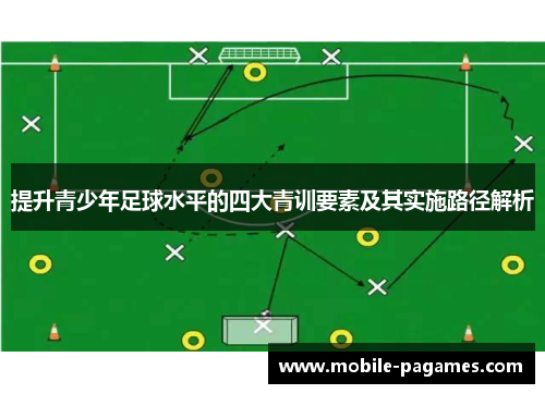 提升青少年足球水平的四大青训要素及其实施路径解析