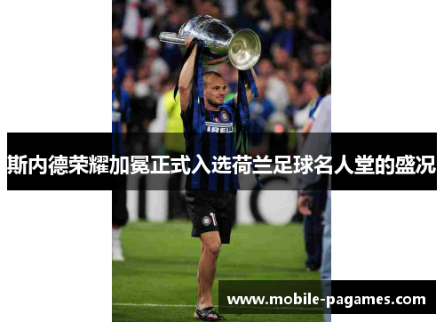 斯内德荣耀加冕正式入选荷兰足球名人堂的盛况 斯内德荣耀加冕正式入选荷兰足球名人堂的盛况