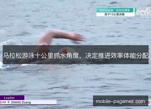 马拉松游泳十公里抓水角度，决定推进效率体能分配